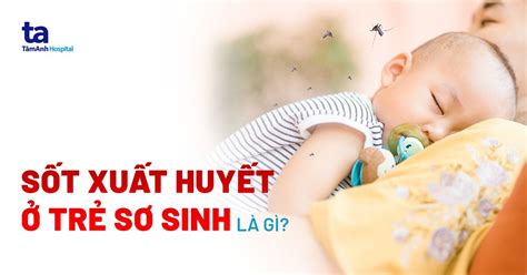 Các nguyên nhân và triệu chứng sốt xuất huyết ở trẻ em mà bạn cần biết