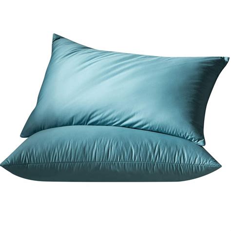 7 Best Feather Pillows Reviewed in Detail (Fall 2023)