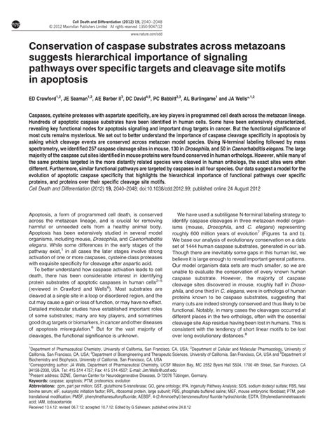 (PDF) Conservation of caspase substrates across metazoans suggests ...