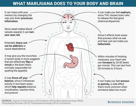 What popular drugs do to your body and brain - Business Insider