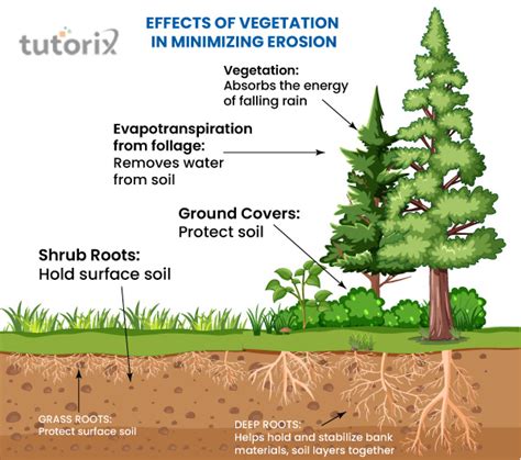 Soil Erosion