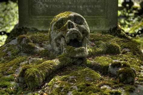 Human skull, graveyards, skull, skull and bones HD wallpaper ...