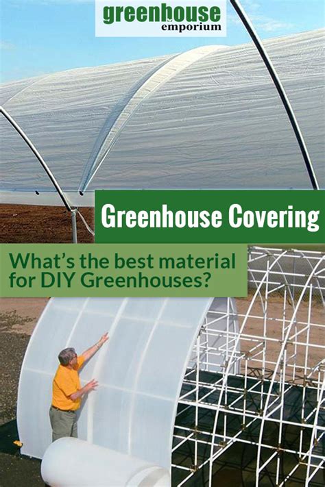 Best Greenhouse Covering Materials for DIY Greenhouses