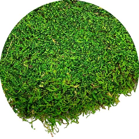 Moss Types – MossFusion