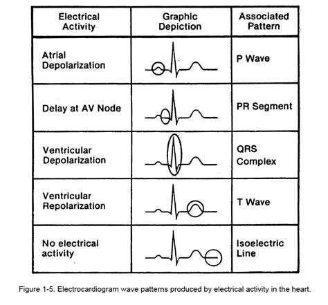 Figure 1-5. - Cardiac Rhythm Interpretation