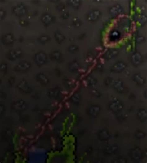 Image - Man Eater.png - Terraria Wiki