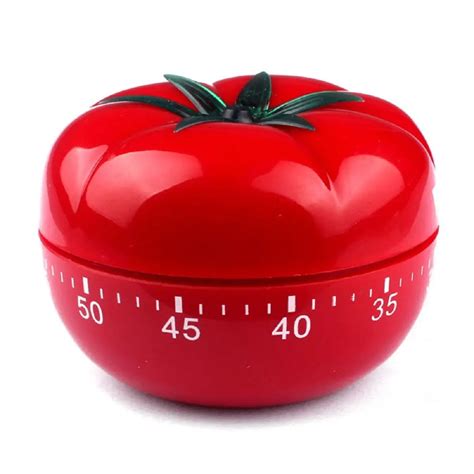 FJS Red cute tomatoes style 60 minutes mechanical counting back cooking ...