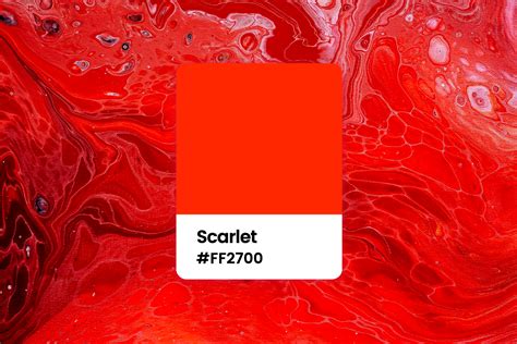 All You Want to Know About Scarlet Color: Meaning, Combinations and ...