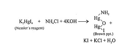 Nessler’s reagent is used in the test of - Tardigrade