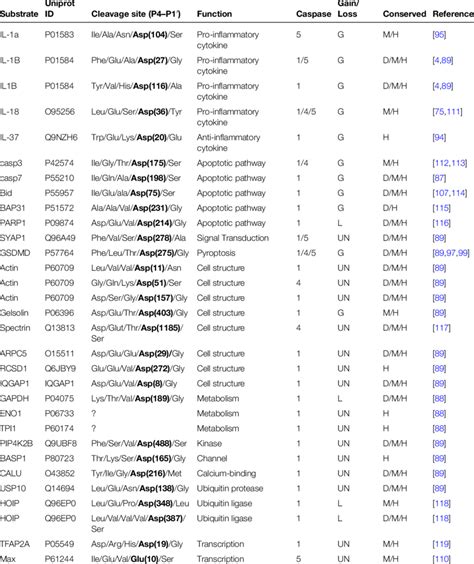 Inflammatory caspases substrates | Download Scientific Diagram