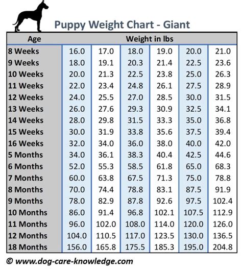 Pitbull Weight Chart By Age | Blog Dandk