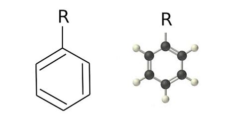 Phenyl group - a cyclic group of atoms - Assignment Point