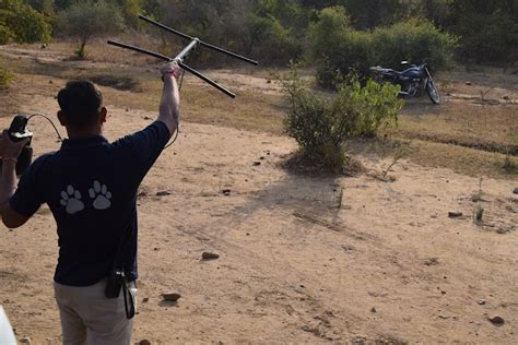 Sariska National Park - The Home of Tigers | Being Traveler