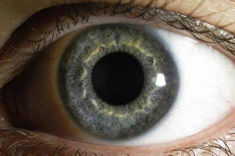 How Does the Cornea Affect Vision? – EYExan.com