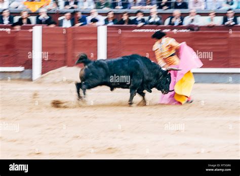 Bullfighting, torero and bull Stock Photo - Alamy