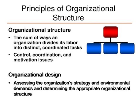 PPT - Principles of Organizational Structure PowerPoint Presentation ...