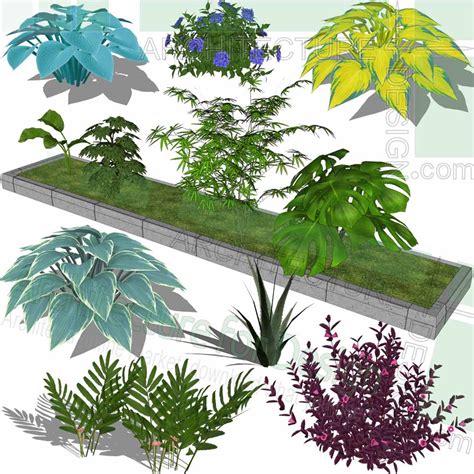 Trees, shrubs and flowering plants Sketchup models, Free download!