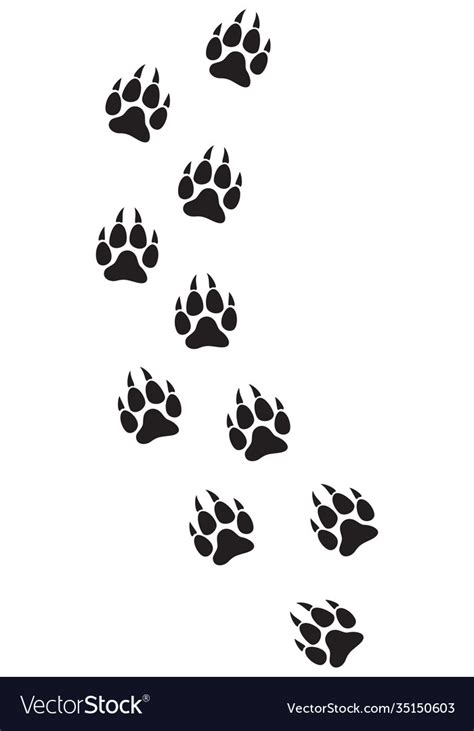 Wolf paw prints track Royalty Free Vector Image