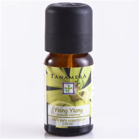 Tanamera Pure Essential Oil 10ml - Aromatherapy - Ginger/Ylang Ylang ...