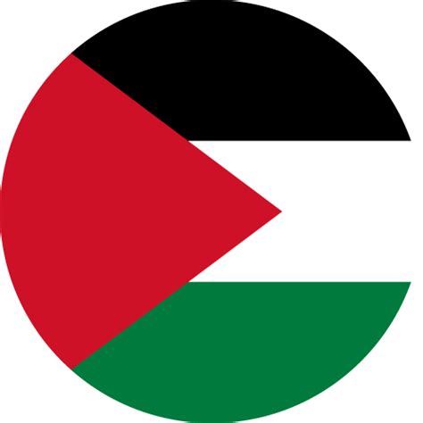 Palestine Flag Circle