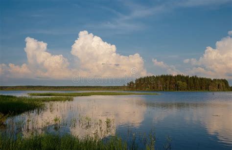 Summer scene on the lake stock image. Image of water - 15638515