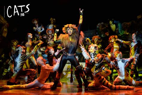 Buy Cats the Musical Stage Tickets Beijing