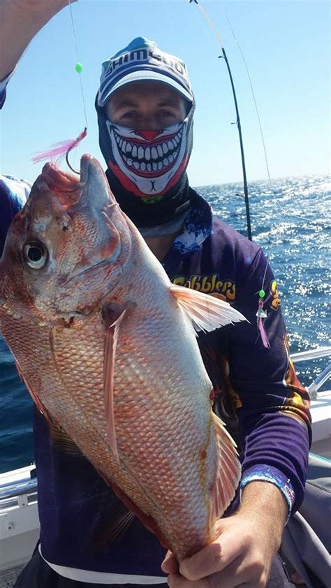 Fishing Pictures Images Tackle Snapper Whiting Bream Mulloway