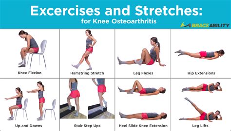 Knee Strengthening Exercises For Cartilage Damage – Online degrees