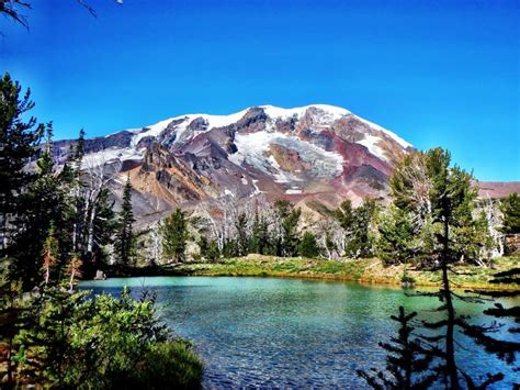 Trout Lake Cozy Cabins | Photo Gallery