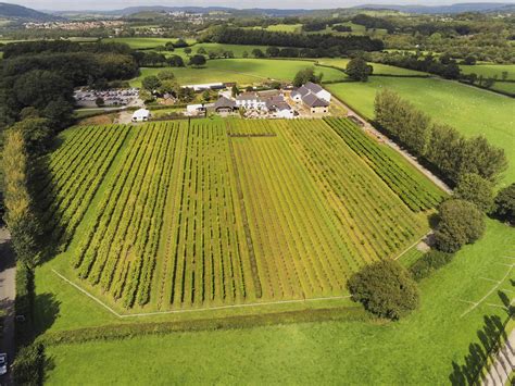 Llanerch Vineyard Hotel | VisitWales