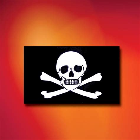 Skull and Crossbones Pirate Flag - Costumes and Collectibles