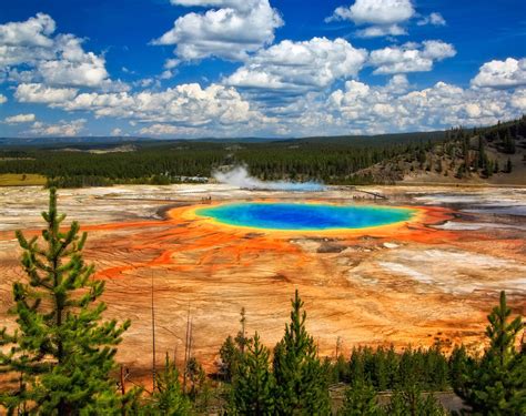 Yellowstone National Park Pictures