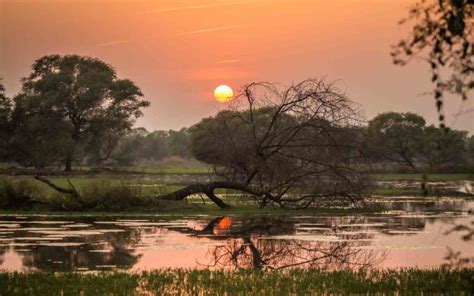 Keoladeo Ghana National Park Guided Tour From Agra