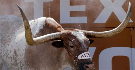 Texas mascot Bevo dies in his sleep