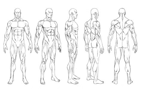 Robert Atkins Art: Character Turnarounds and Figure Templates...