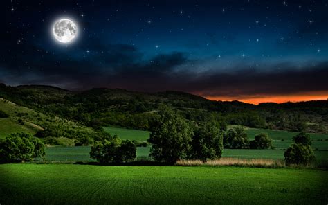 Nature Night Sky Wallpaper