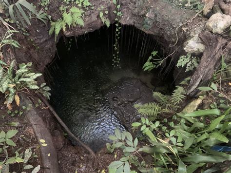 What Is A Cenote? The Ultimate Guide To Visiting Cenotes