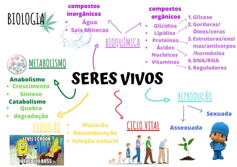 CARACTERÍSTICAS DOS SERES VIVOS | Caracteristicas dos seres vivos ...