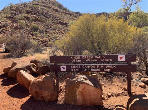 Your KINGS CANYON RIM WALK Guide | Map, Logistics, and More!