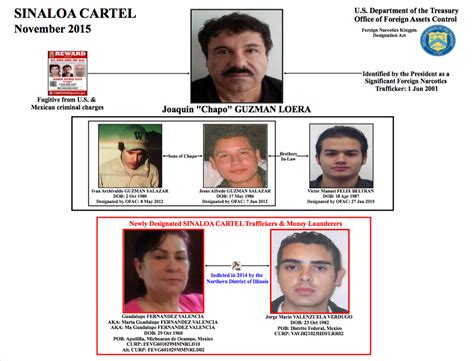 Sinaloa cartel highest-ranking woman arrested - Business Insider