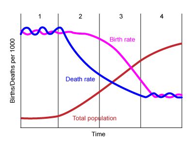 Demographic Transition Model | Definition & Stages - Lesson | Study.com