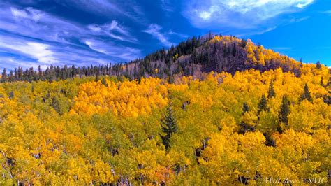 The Grand Mesa Fall Colors 4K - YouTube