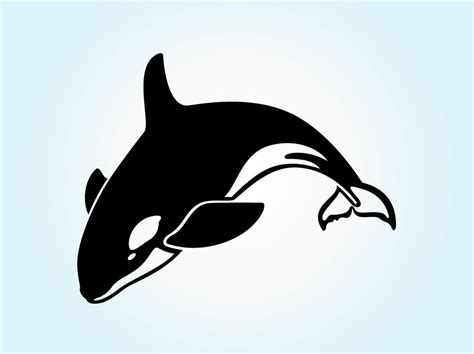 Killer Whale Clipart - ClipArt Best