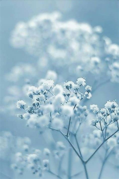 Pin by Still.. Blue! ! on Still.. Blue! | Blue aesthetic, Nature ...