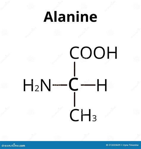 Alanine Is An Amino Acid. Chemical Molecular Formula Alanine Amino Acid ...