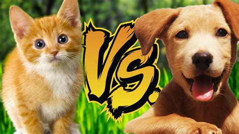 Image - KITTENS VS. PUPPIES image.jpg | Jacksepticeye Wiki | FANDOM ...