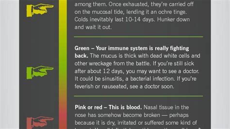 What It Means When Your Snot Is Green — Info You Should Know