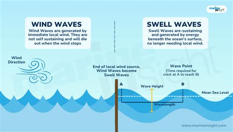 Swell v/s Wave- What’s The Difference?