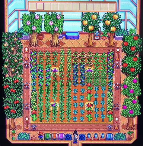 Stardew Valley Optimal Greenhouse Layout