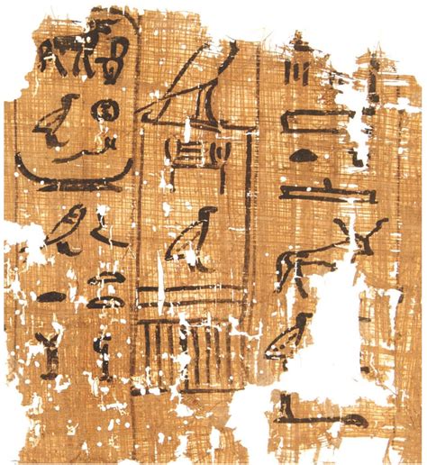 Part of papyrus inscribed with an account dating to the 13th cattle ...